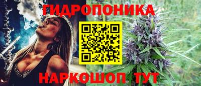 ПСИЛОЦИБИНОВЫЕ ГРИБЫ Канаш