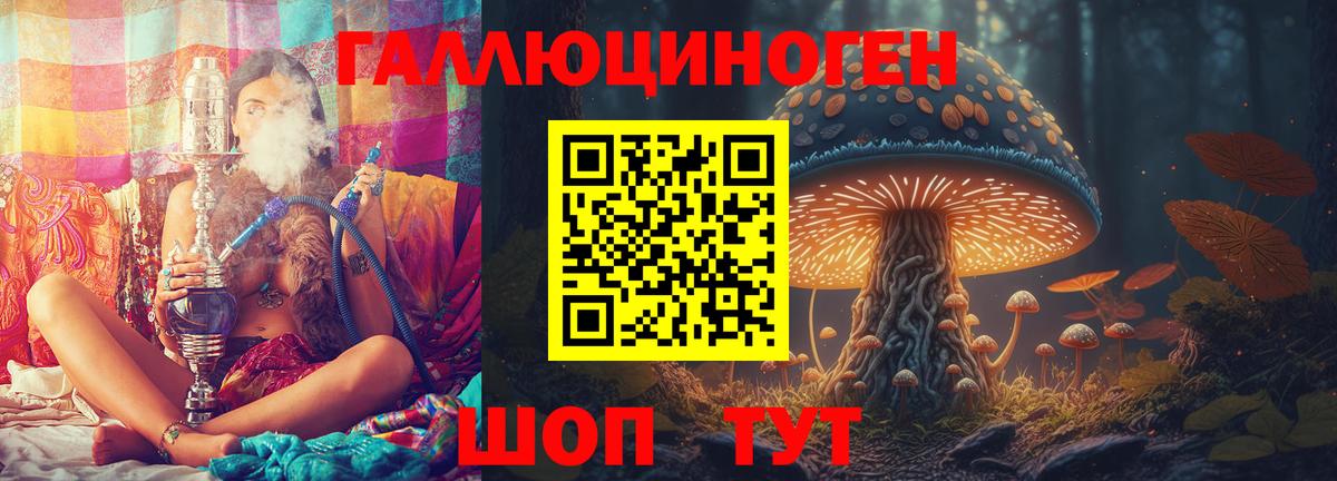 Псилоцибиновые грибы мицелий  Псилоцибиновые грибы GOLDEN TEACHER  Вход с VPN  Кувандык 